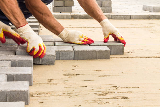 Best Local Driveway Pavers  in Belgium, WI