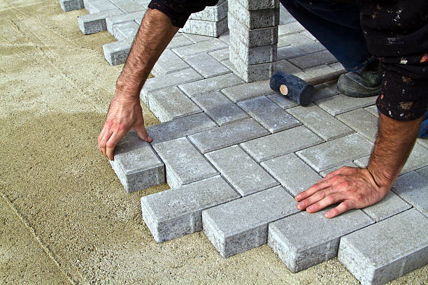 Best Driveway Repair Near Me  in Belgium, WI